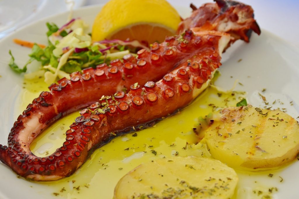 Santa Luzia Octopus dish